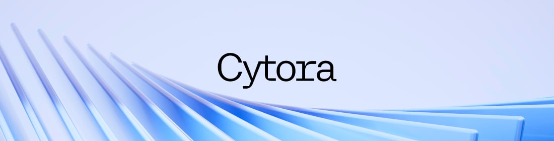 Cytora customer testimonial